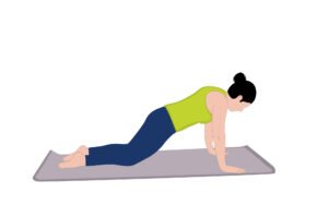 learn gentle flow yoga modified plank pose